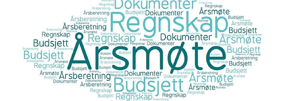 Årsmøte Trondheim Modellflyklubb 2025